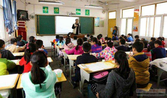 生本教育下小學數學小組合作教學探究