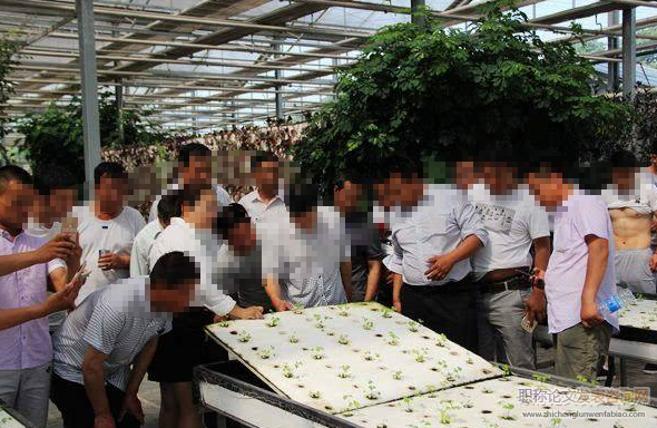 農業科研單位開展職稱自主評審工作研究