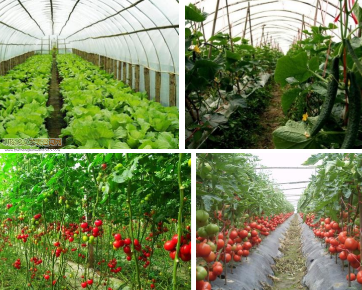 北方果樹栽培管理措施及種植技術要點
