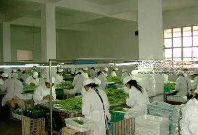 經濟弱復蘇時代農產品加工企業投資問題研究