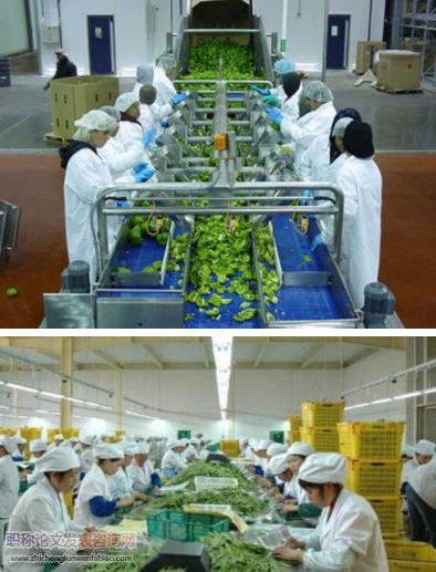 基于熵權灰色關聯分析法的農產品加工企業供應商選擇研究