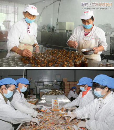 農產品加工產業園區聚集水平的發展評價