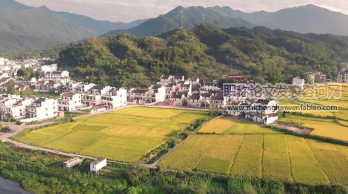 北京市社會力量參與新農村建設效果與未來展望