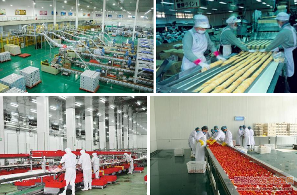 基于熵權灰色關聯分析的農產品加工企業供應商選擇研究