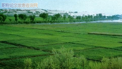 廣元市發展綠色農業的實踐與思考