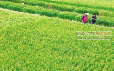 貧困山區現代農業發展路徑探析
