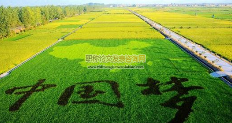 彭州市新農村建設省級示范片績效評價研究
