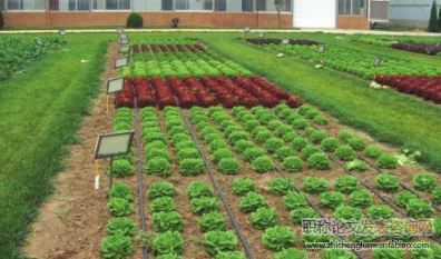 農牧配套種養結合型生態循環農業技術模式