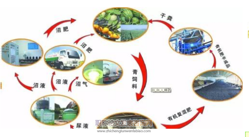 蘭溪市現(xiàn)代生態(tài)循環(huán)農(nóng)業(yè)中沼液配送機(jī)制的探討