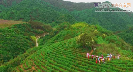秦巴山片區十堰市特色高效生態農業發展研究