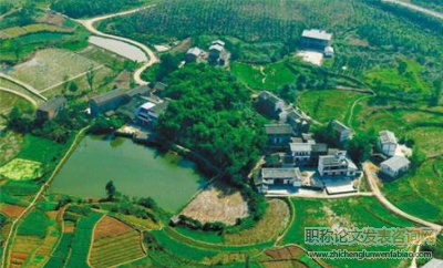 實施鄉村振興倡議，實現農業農村發展