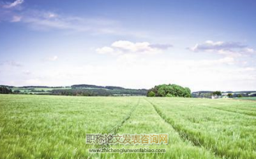 鄉村振興背景下企業下鄉對“三農”的影響
