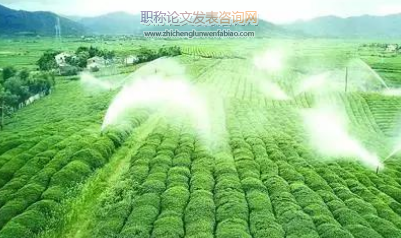 武威市循環農業發展模式及其SWOT分析