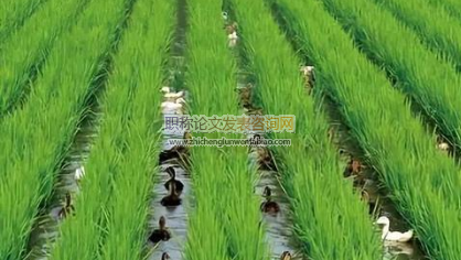 我國現有生態循環農業發展模式及國際經驗借鑒
