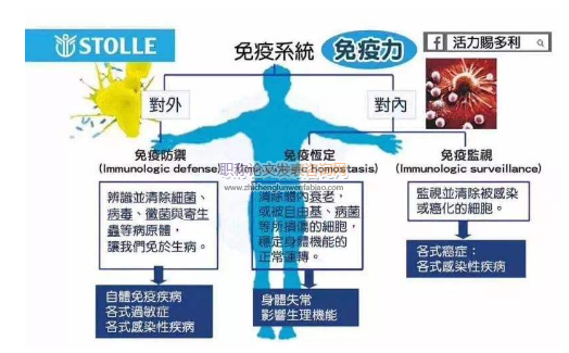 免疫系統方面的論文期刊