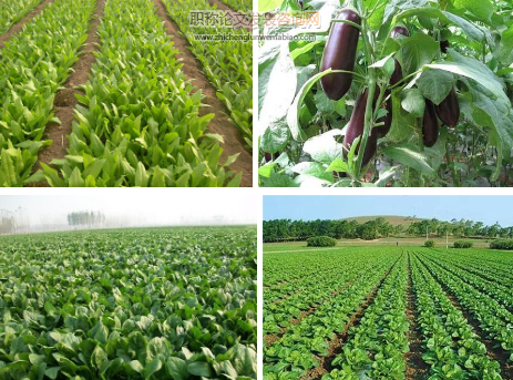 生態農業的參與式認證體系研究