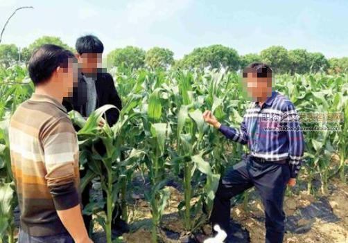 國外新型農業技術投資推廣簡跡及對我國的啟示