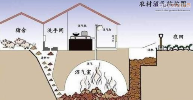 以發展沼氣工程為紐帶的中國綠色農業發展思路