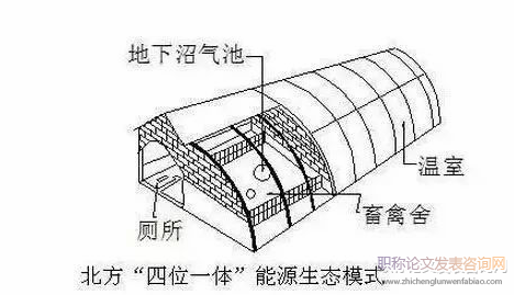 豬沼糧生態循環農業模式在上海農場的實踐應用