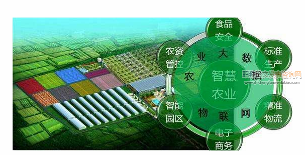 基層農業技術推廣服務體系的構建與實施