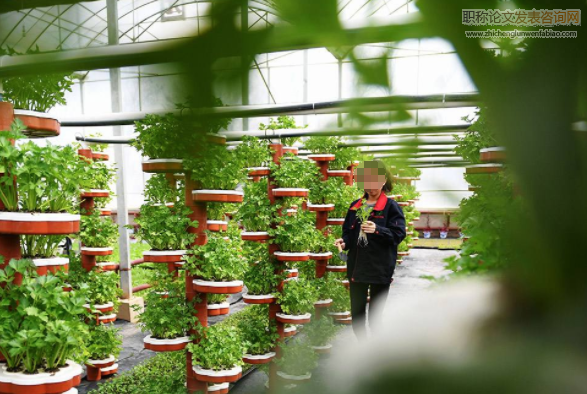 構建新型農業技術推廣運行機制的途徑