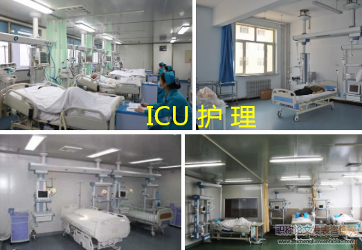 ICU護理論文文獻和期刊
