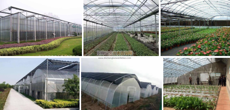 新型農業大棚智能系統的發展與建立