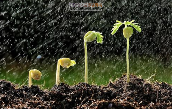 多組學聯合分析在植物生長發育研究中的應用