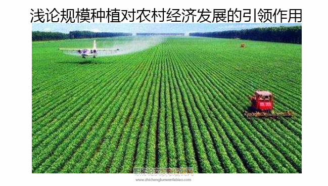 淺論規模種植對農村經濟發展的引領作用