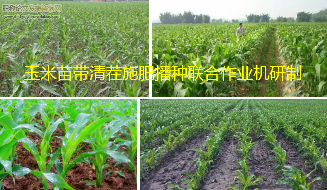 玉米苗帶清茬施肥播種聯合作業機研制