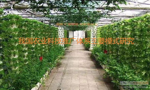 我國農業科技推廣體系主要模式研究