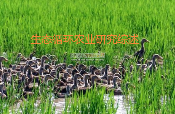 生態循環農業研究綜述