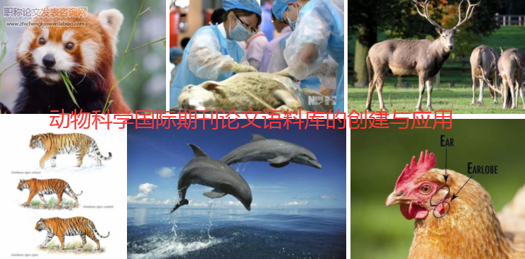 動(dòng)物科學(xué)國(guó)際期刊論文語(yǔ)料庫(kù)的創(chuàng)建與應(yīng)用