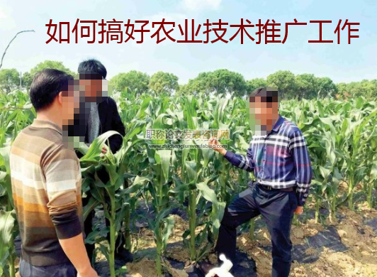 如何搞好農業技術推廣工作