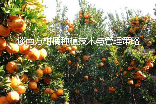談南方柑橘種植技術與管理策略