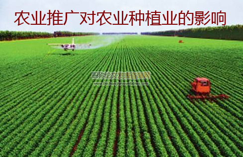 農業推廣對農業種植業的影響