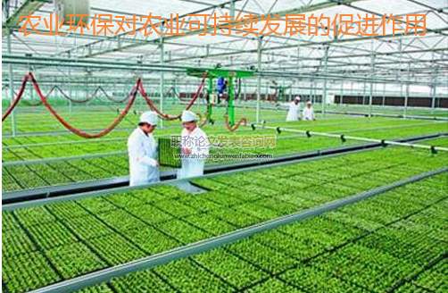 農(nóng)業(yè)環(huán)保對農(nóng)業(yè)可持續(xù)發(fā)展的促進作用
