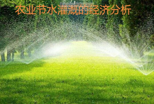 農業節水灌溉的經濟分析