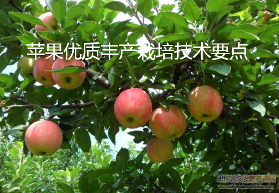蘋果優質豐產栽培技術要點
