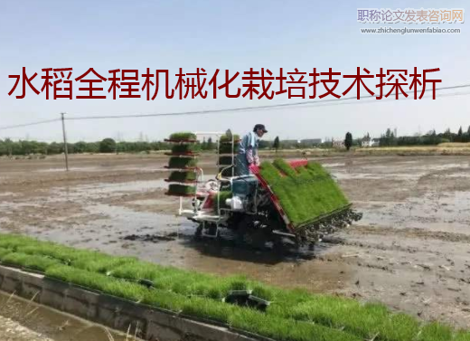 水稻全程機械化栽培技術探析