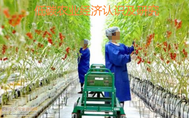 低碳農業經濟認識及研究