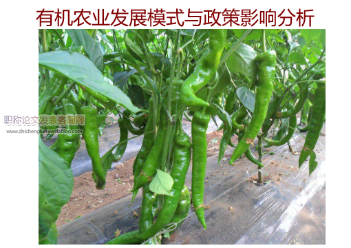 有機(jī)農(nóng)業(yè)發(fā)展模式與政策影響分析