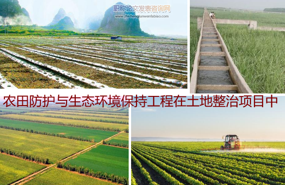 農田防護與生態環境保持工程在土地整治項目中