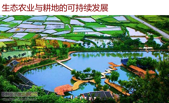生態農業與耕地的可持續發展