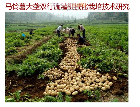 蒙城縣生態農業建設研究