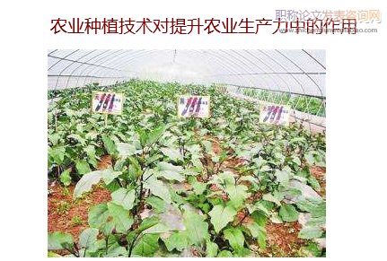 農業種植技術對提升農業生產力中的作用