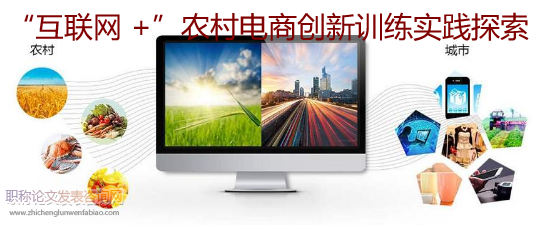 “互聯網 +”農村電商創新訓練實踐探索