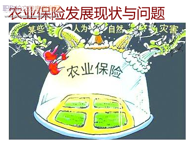 農業保險發展現狀與問題