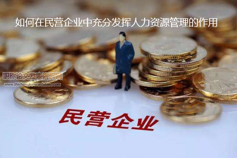 如何在民營企業中充分發揮人力資源管理的作用