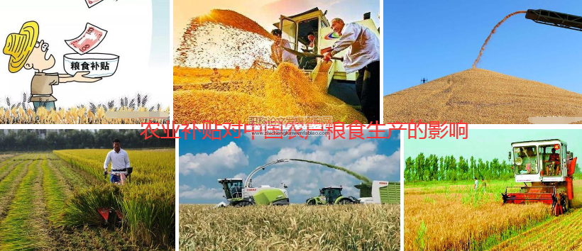 農(nóng)業(yè)補(bǔ)貼對(duì)中國(guó)農(nóng)戶糧食生產(chǎn)的影響